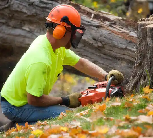 tree services Vails Gate